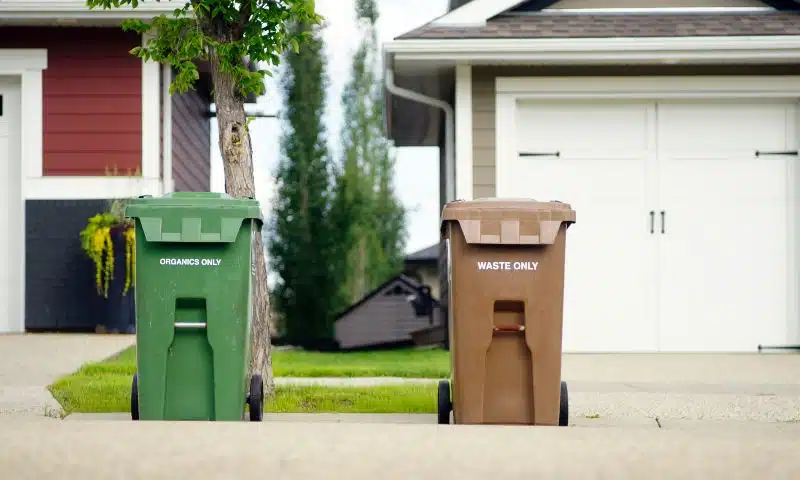 How to Pest Proof Your Garbage Cans