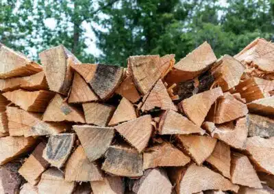 Firewood Storage Tips for Pest Prevention
