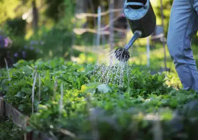 Gardening Hacks to Prevent Pests