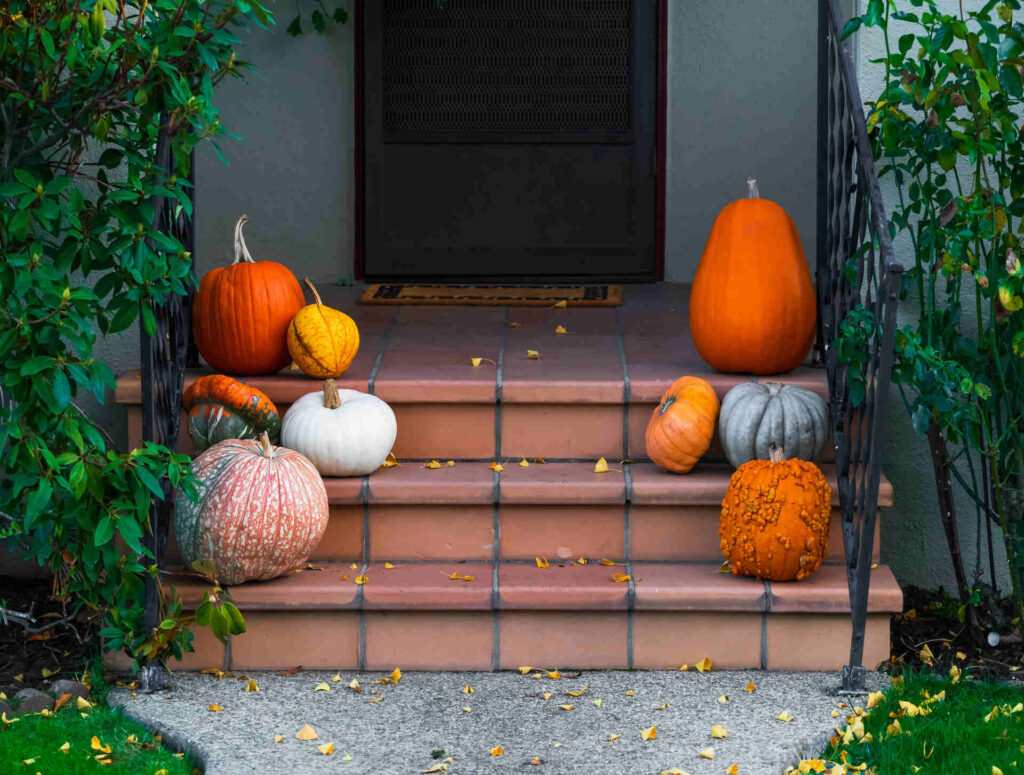 A Variety Of Pumpkins And Gourds In Different Shapes, Sizes, And Colors Are Arranged On The Steps Of A Front Porch. The Steps Are Terracotta-Colored, And The Porch Is Flanked By Green Leafy Plants.