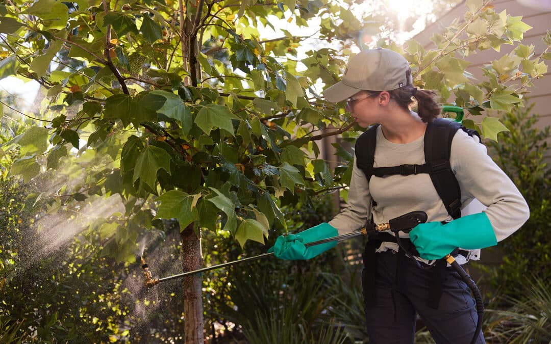 Aptive Environmental Pest Control Announces Mosquito Treatment Service