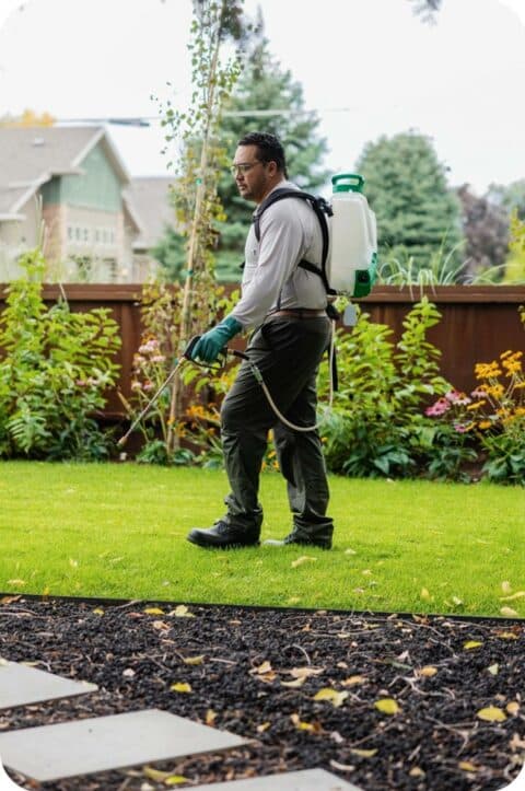 Local Exterminators And Pest Services In Fife Wa Aptive Environmental