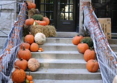 5 Simple Ways to Properly Dispose of a Pumpkin and Avoid Pests