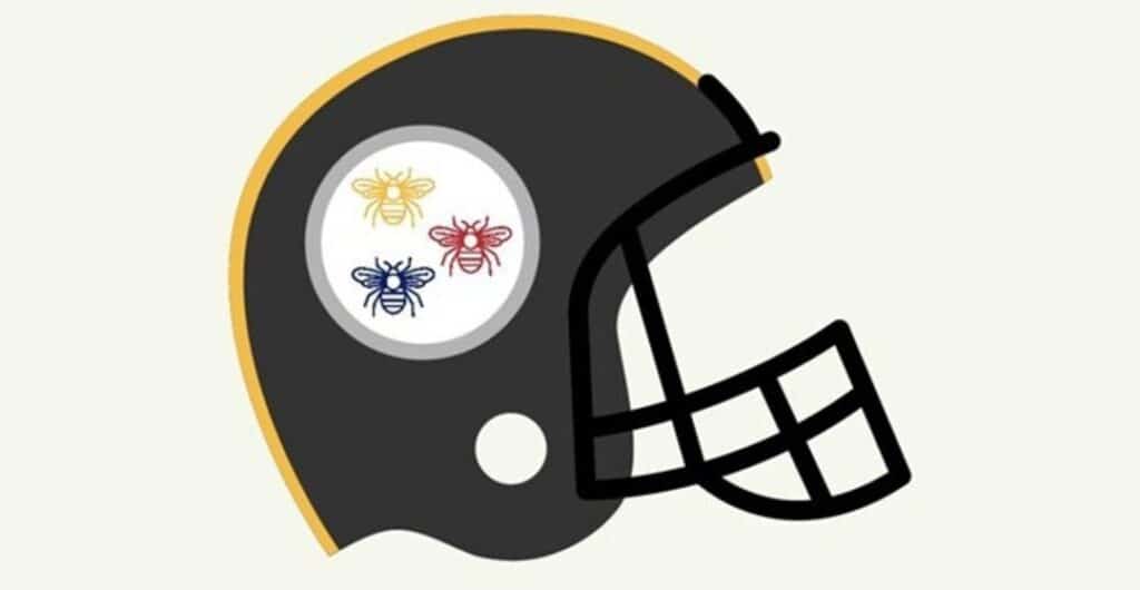 Pittsburgh Stingers Helmet