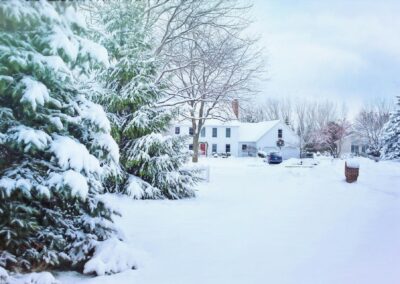 How To Protect Your Home With These Winter Pest Control Tips