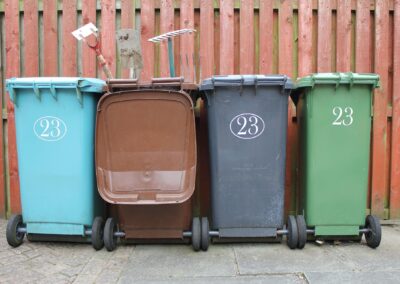 What Attracts Pests To Your Garbage And How To Keep Them Away